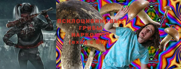 Альфа ПВП Алзамай