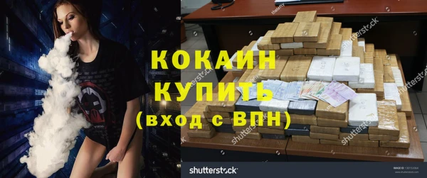 ешки Алексин