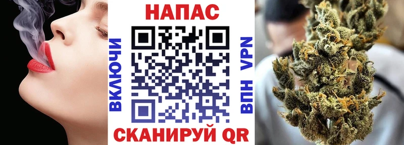 Каннабис Bruce Banner  Новоузенск 